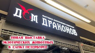 Обзор выставки Дом Драконов в Санкт-Петербурге