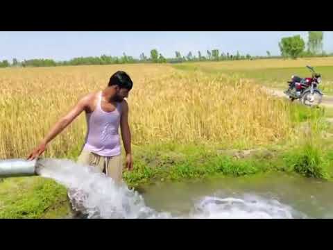 Tubewell swimming enjoy   new tubewell bathing video 923267266023