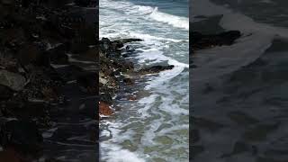 The sound of sea waves crashing on the rocks of the shore #seasounds #naturesounds #forsleep