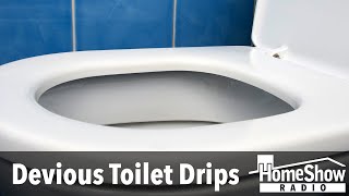 What would cause toilet dripping noises if there's no leak?