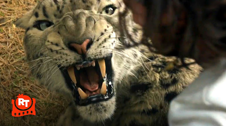 Kraven the Hunter (2024) - Kraven Wrestles A Leopard Scene | Movieclips