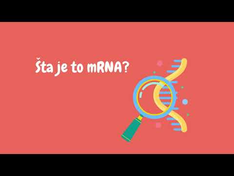 Video: ŠTA JE A u mRNA?