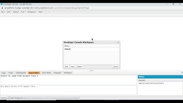 How to use Salesforce Developer Console