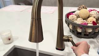 Watch Before Buying - Review of Delta Lenta Brushed Gold Touch Kitchen Faucet with Pull Down Sprayer
