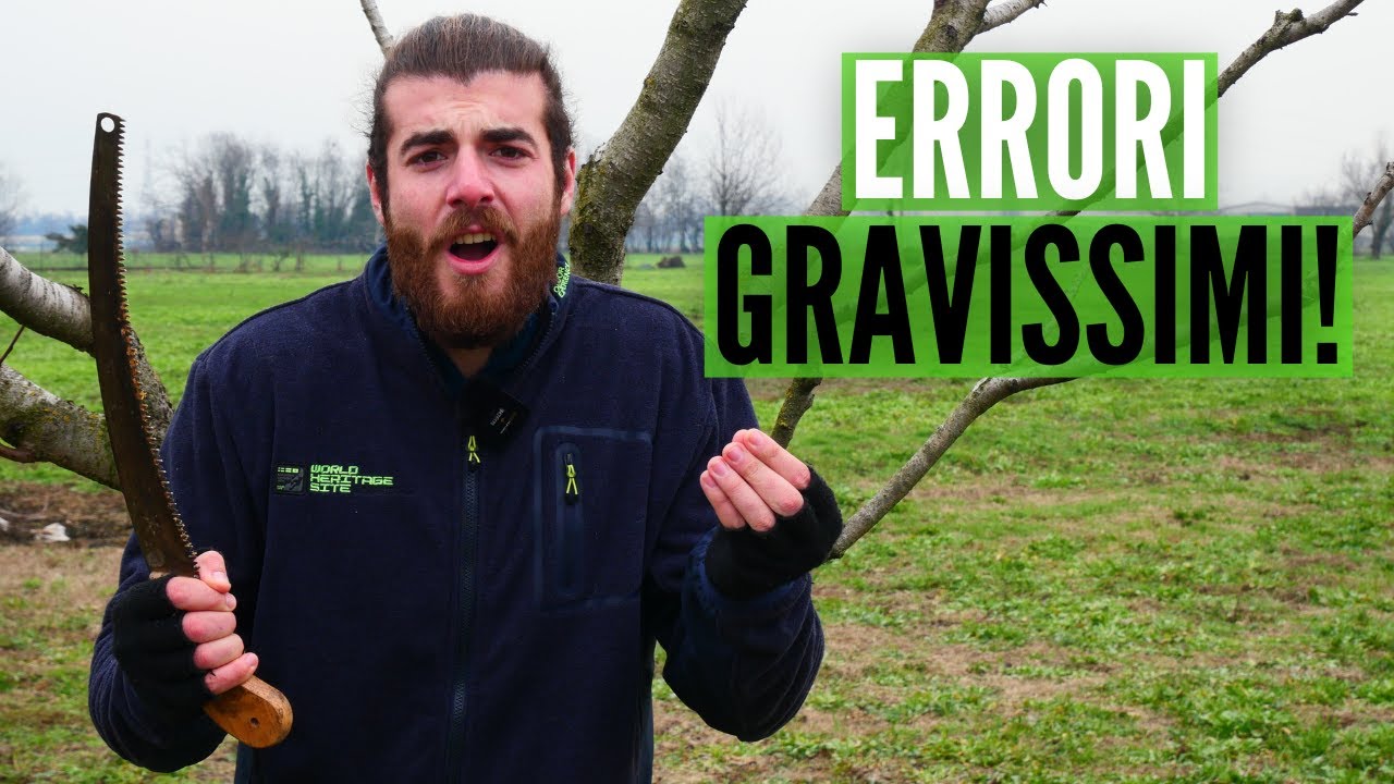 3 ERRORI nella POTATURA del PESCO