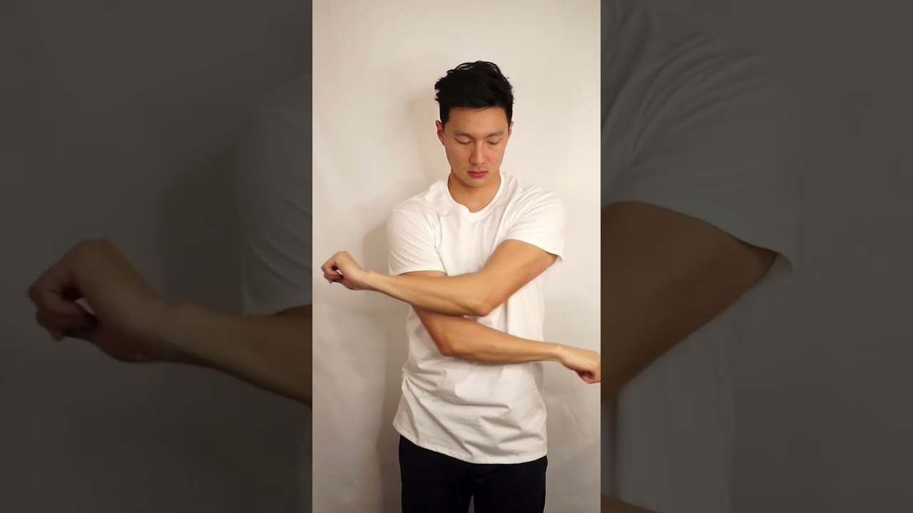 Fruit of the Loom Men's Eversoft Cotton Crew T-Shirt