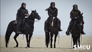 Gorillas in the Mist: : 'Planet of the Apes' Promo Turns Heads on Venice Beach