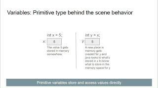 Famous Primitive variables: How they work behind the scenes Wealth