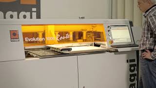 Maggi Evolution tutorial   cabinet door (ENG)