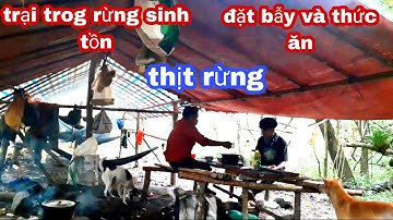 trại trong rừng, ngủ trong rừng, đặt bẫy, ăn thịt rừng mưa nhiệt đới|phúc làng tv