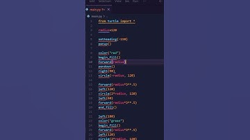🐢🔥 GOOGLE CHROME ANIMATION USING PYTHON 🤯 #coding