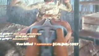 Call of Duty World at War: Friendly Fire 3
