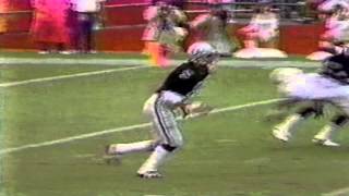 Punter downs his own 8 yard  punt