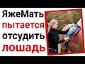 ЯжеМать пытается отсудить лошадь