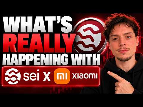 What’s REALLY Happening With SEI & Xiaomi?