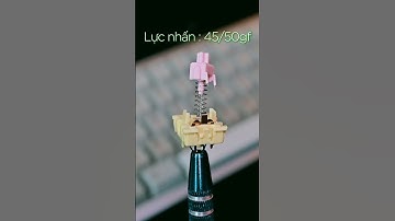 HMX Lotus Switch Sound Test  #keyboard #mechanicalkeyboard #keycaps