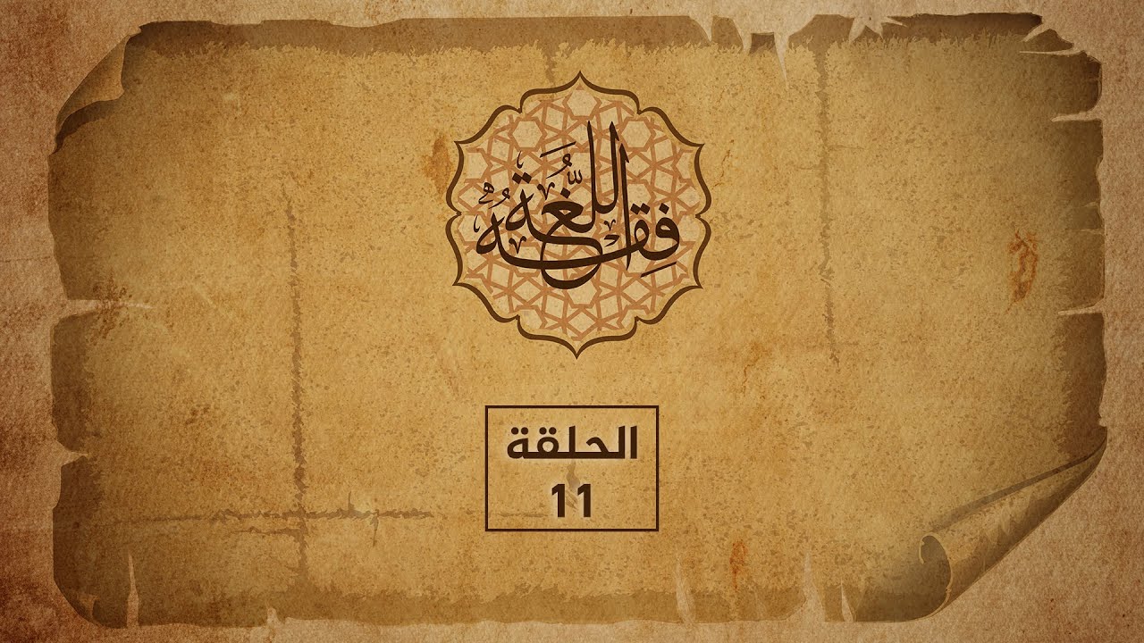فقه اللغة (11 )