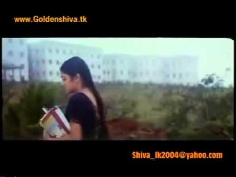 Samikitta solliputten-Dass