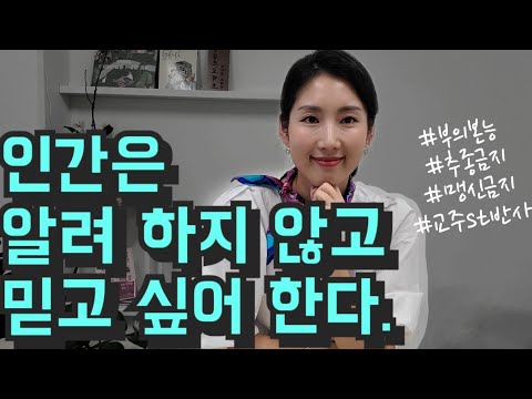 당신이 믿고 따르는 전문가가 진짜일까요? 부의본능 인간의본능 / 투자마인드 재테크 주식 부동산투자