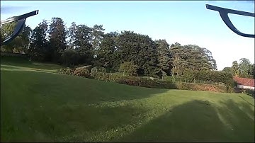 Bugs 3 with C5020 camera