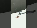INDIAN BIKE DRIVING 3D ALL NEW UPDATE #indianbikedriving3d #indianbikesdriving3d#shorts