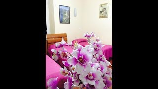 Bed and breakfast in Rome Italy near train station: Zhihua Guest House - RomeGuideTK
