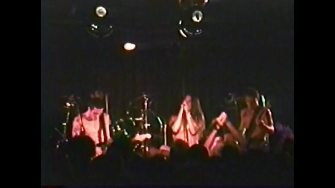 ９１s レッドホットチリペッパーズ　オリジナル ヴィンテージ VINTAGE 90s 1991 RED HOT CHILI PEPPERS BLOOD