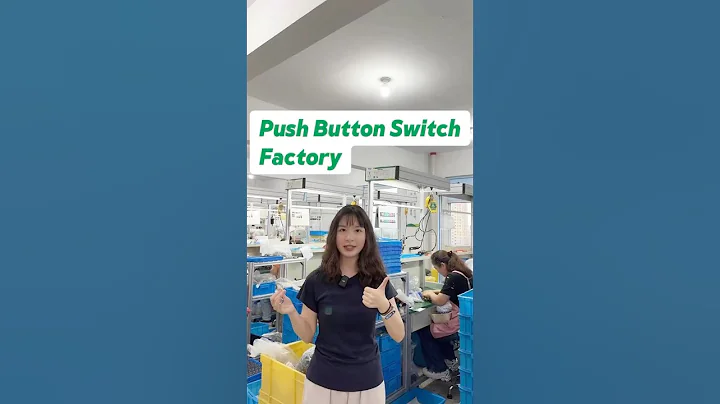Professional push button switches manufacturer,24 years experience.