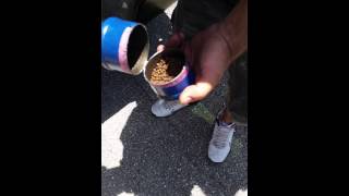 Inside a clogged liquid line filter