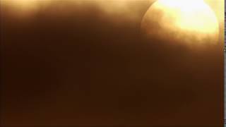 Sand, Wind and Camel 2