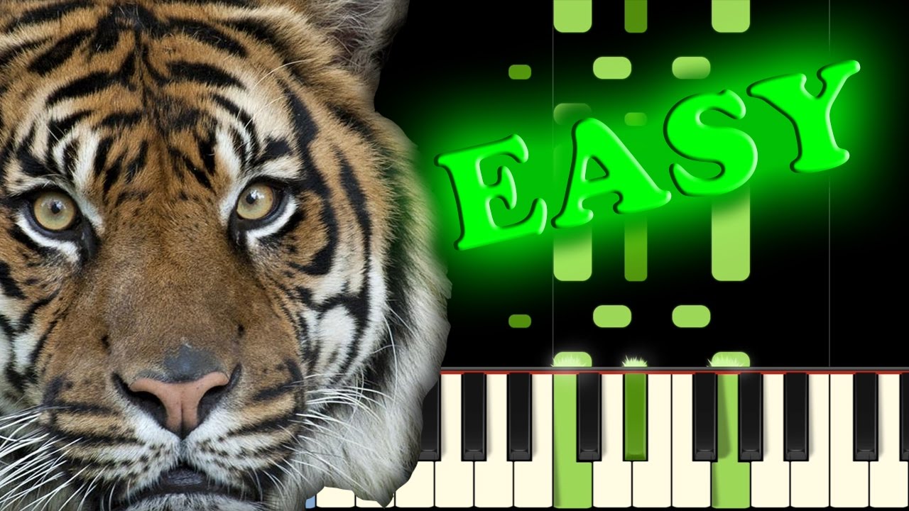 SURVIVOR - EYE OF THE TIGER - Easy Piano Tutorial - YouTube