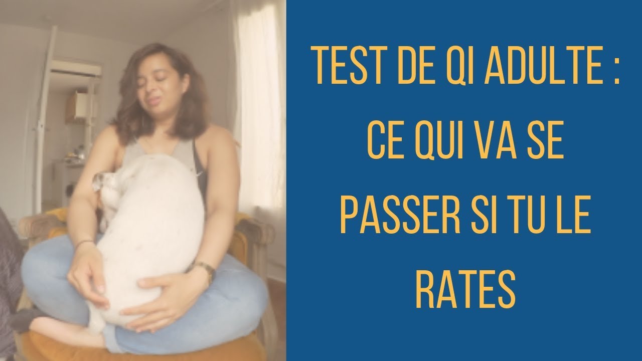 TEST DE QI ADULTE CE QUI VA SE PASSER SI TU LE RATES YouTube TEST DE QI ADULTE CE QUI VA SE PASSER SI TU LE RATES YouTube