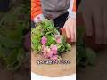 花が終わったら切れ！若い株ほどよく咲くカランコエ