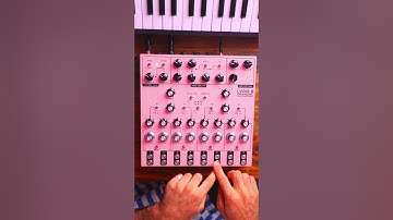 How to work with SOMA LYRA-8 EXT IN | MiniFreak