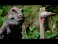Walking With Dinosaurs PREVIEW