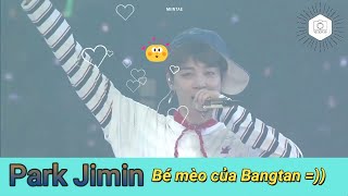 [#BTS FUNNY MOMENTS] Park Jimin, Bé mèo của Bangtan =))