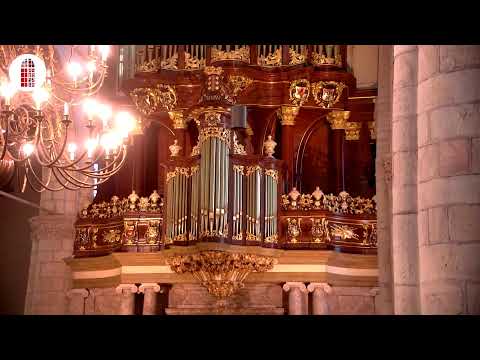 Ochtenddienst | Sint-Janskerk te Gouda | 25 september 2022 | Prop. A.P. Cammeraat
