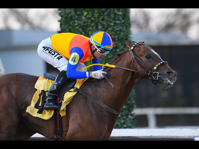 Clásico Italia (G3) - Davalos (Hi Happy)