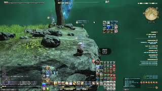 FFXIV bug report video