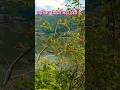 नैनीताल का मौसम #shorts #youtubeshorts #nature #shortsfeed #trending #nainital