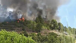 Três grandes incêndios a lavrar nos distritos de Braga e Viana do Castelo