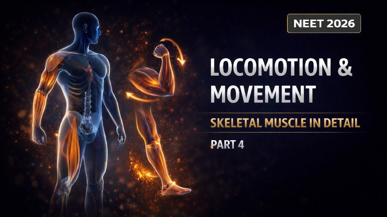 Locomotion & Movement | NCERT Line By Line💯 | NCERT Class 11th Biology📑 | NEET 2026 | Part 4🎯🎯