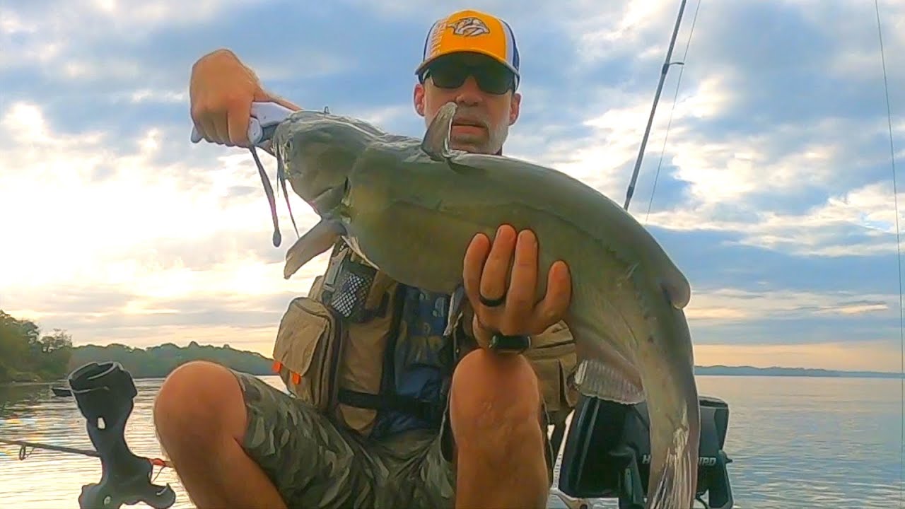 Kayak Catfishing Old Hickory Lake YouTube