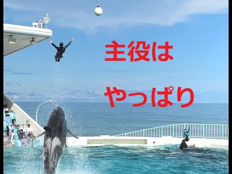 鴨川シーワールド シャチショー21年７月23日 非常に多くのお客さんで大賑わいでした Youtube