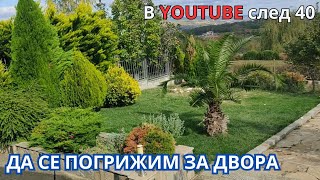 картинка: Да се погрижим за двора