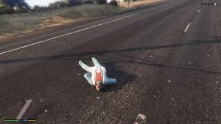 Grand Theft Auto V Michael Fail