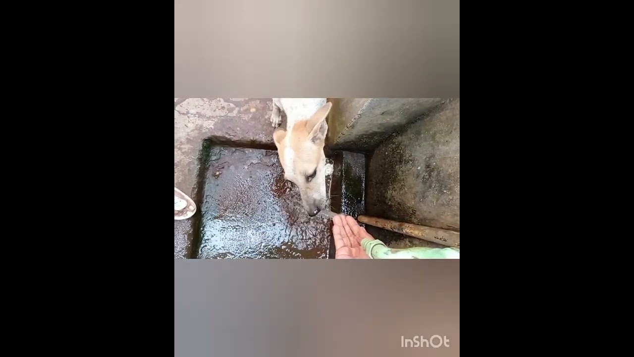 Beautiful Indian Street girl is thirsty in the morning 🌅 