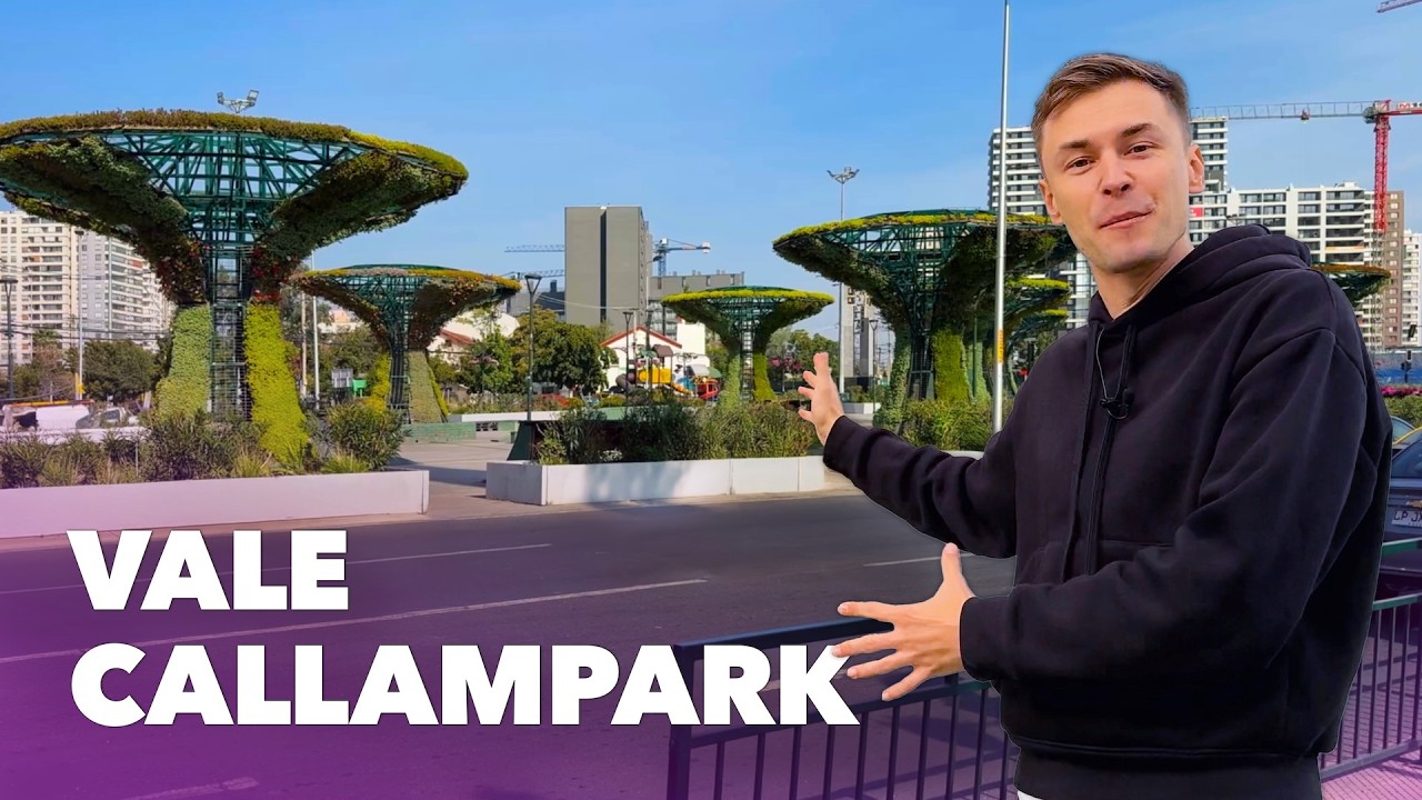 Así es La Florida Central en Santiago: ¿habrá flores?