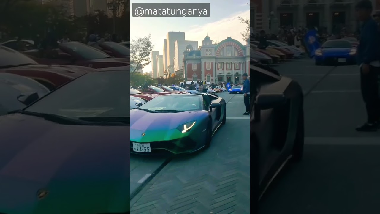 Early Morning ✨️✨️✨️ 