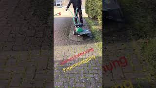 kwern Wildkrautbürste